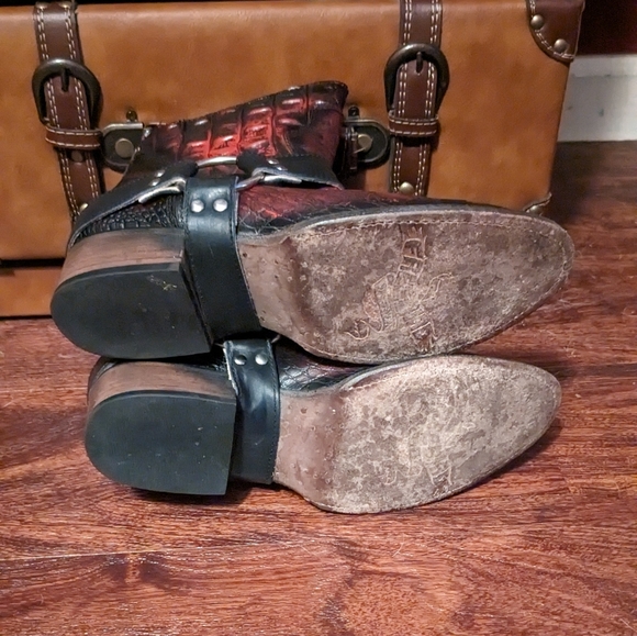 Freebird by Steven Santiago - Picture 4 of 4